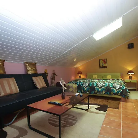 House Vesna 1479